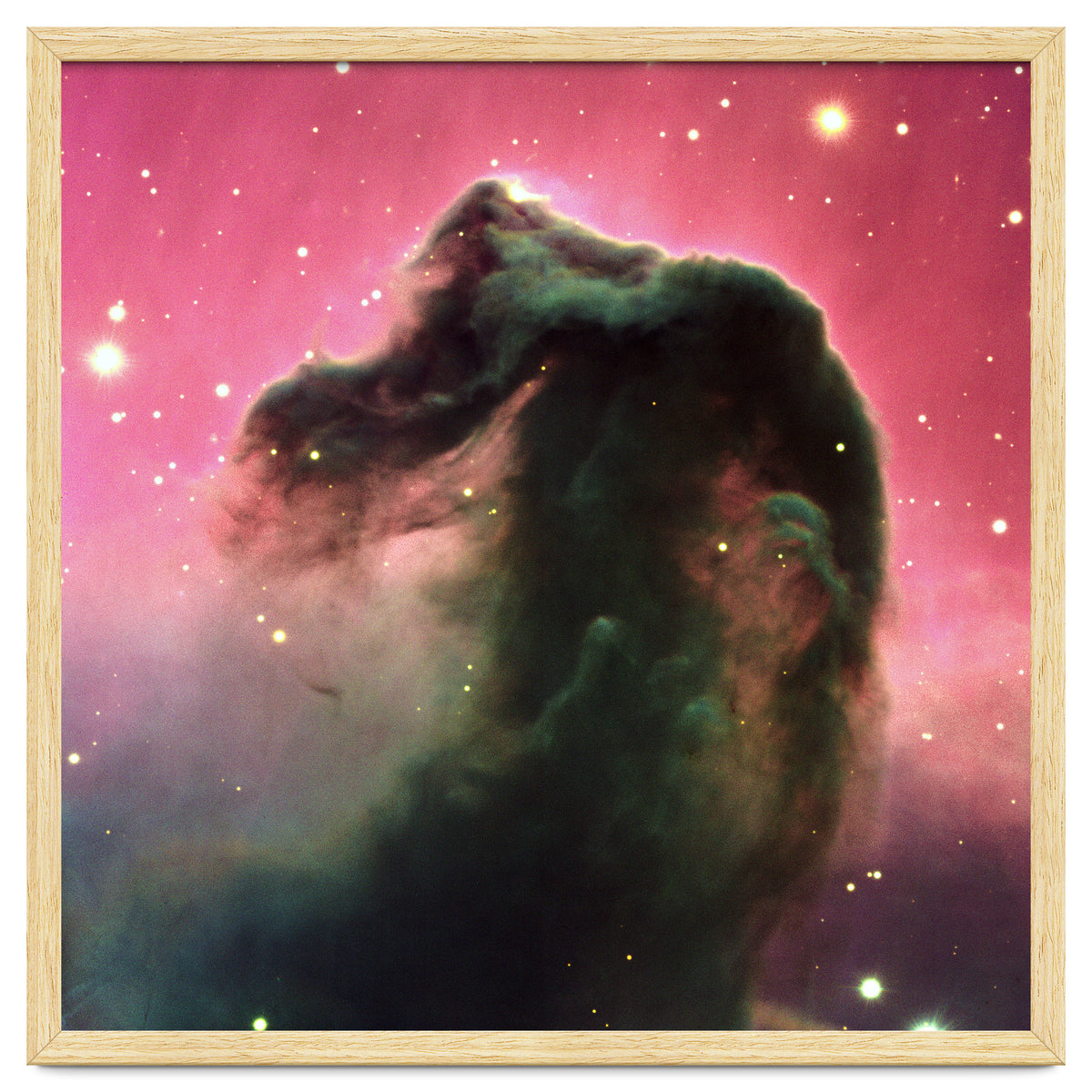 The Horsehead Nebula