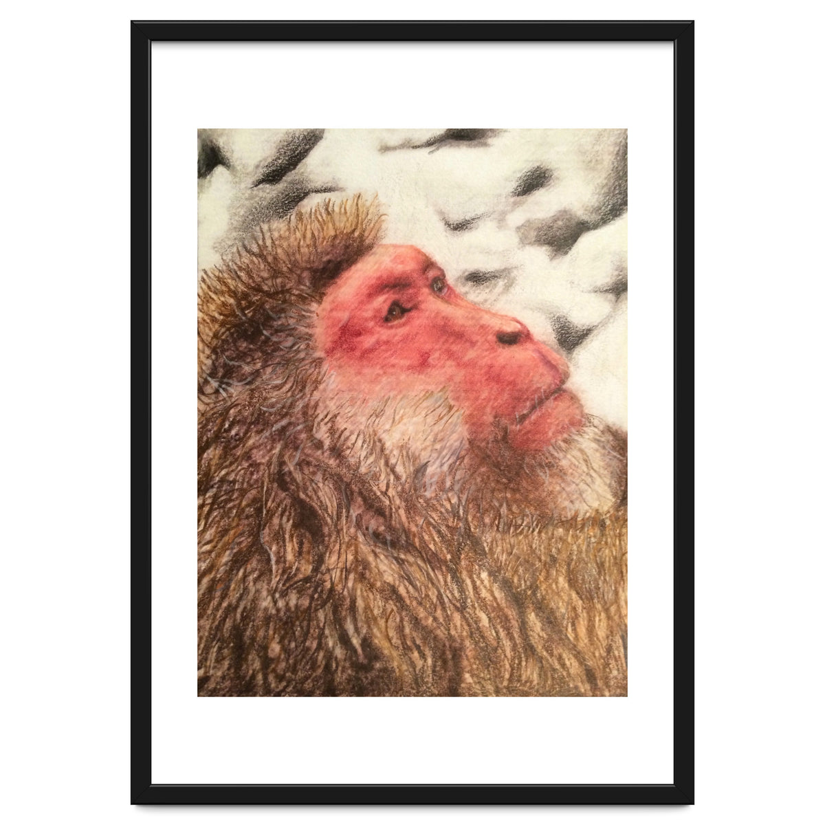 Japanese Macaque At The Onsen