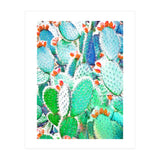 Painted Cactus (Print Only) thumbnail
