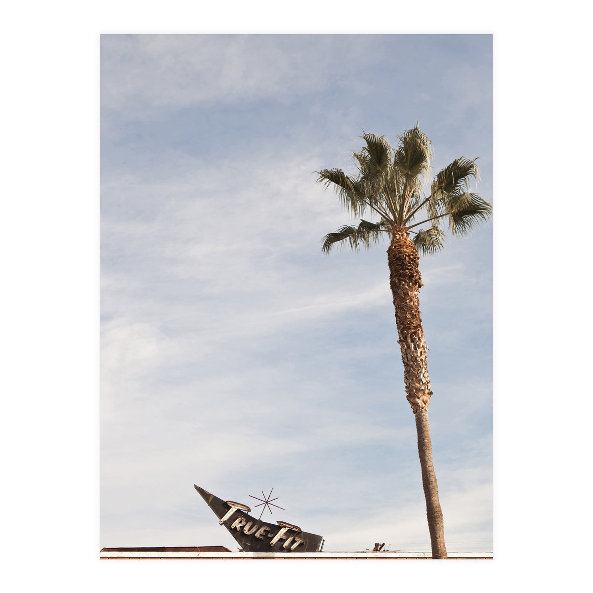 True Fit (Print Only)