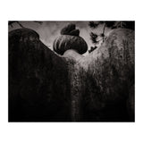 Angel Wings (Print Only) thumbnail