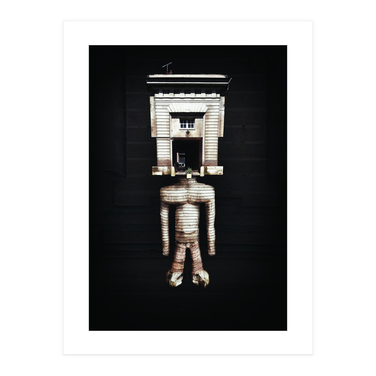 VooDooTooL - Jujia (Print Only)