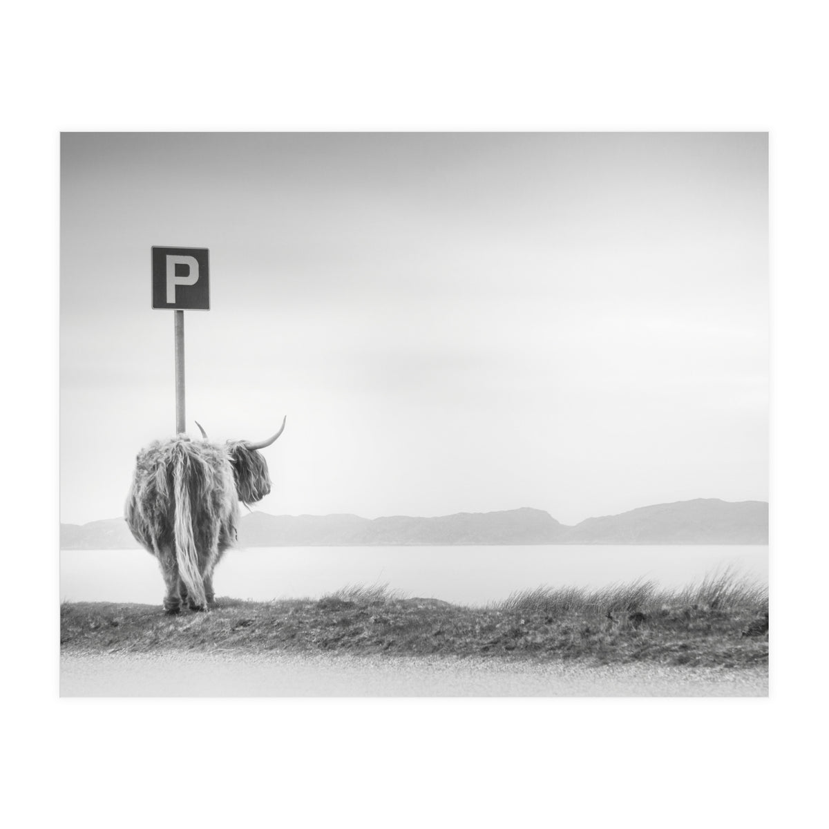 Highland Visitor (Print Only)