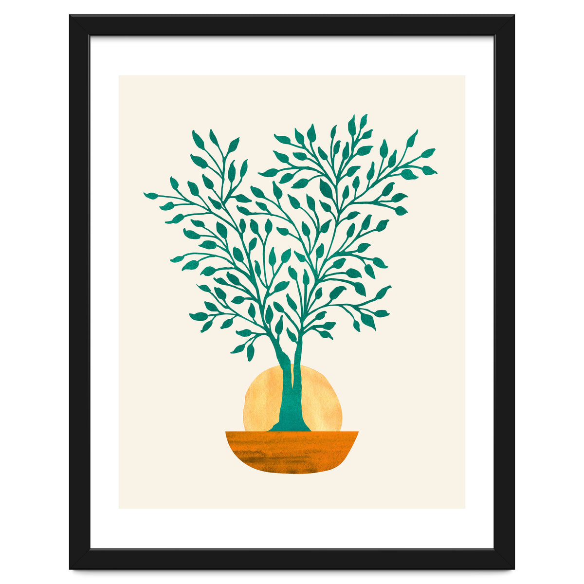 Emerald Ficus Sunset