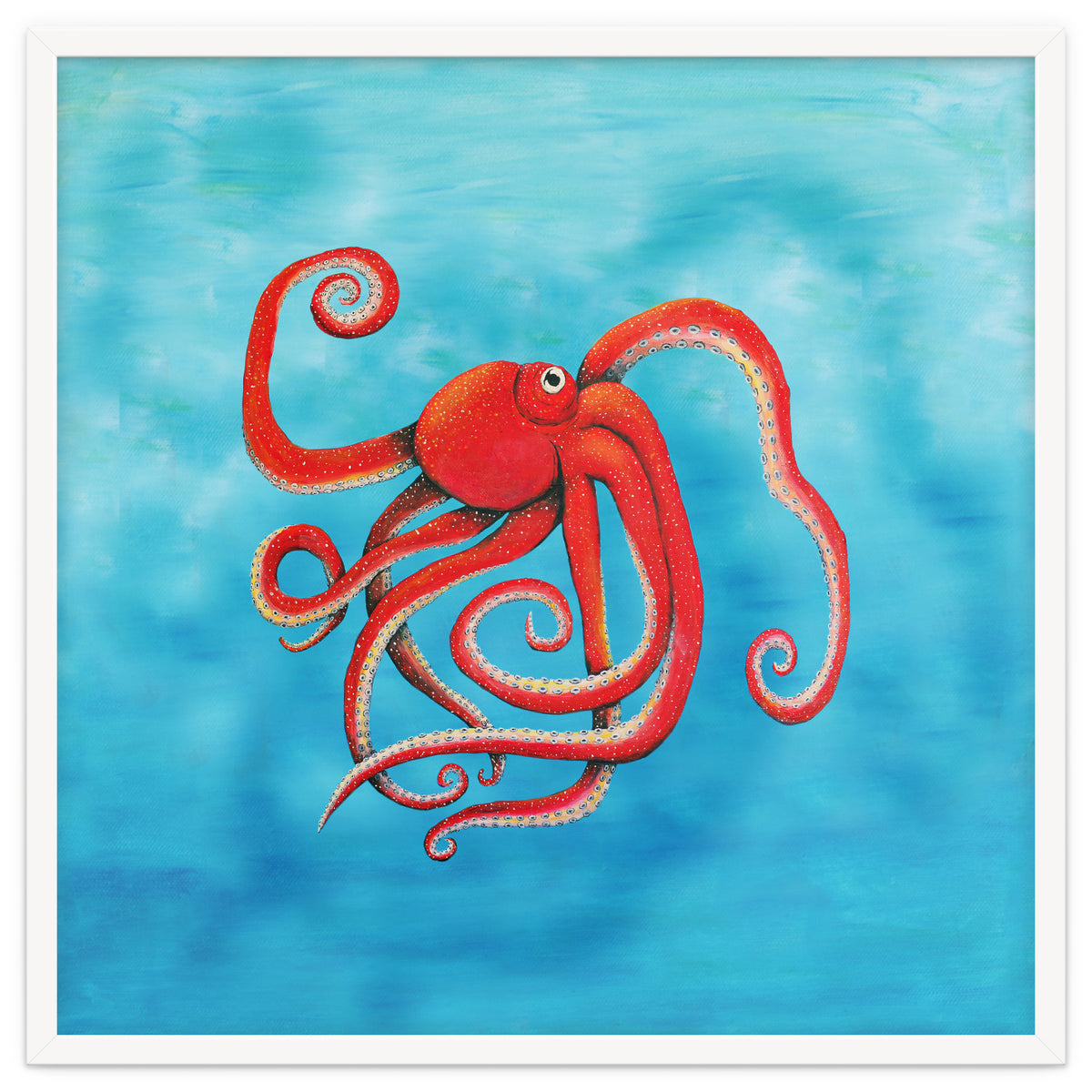 Octopus