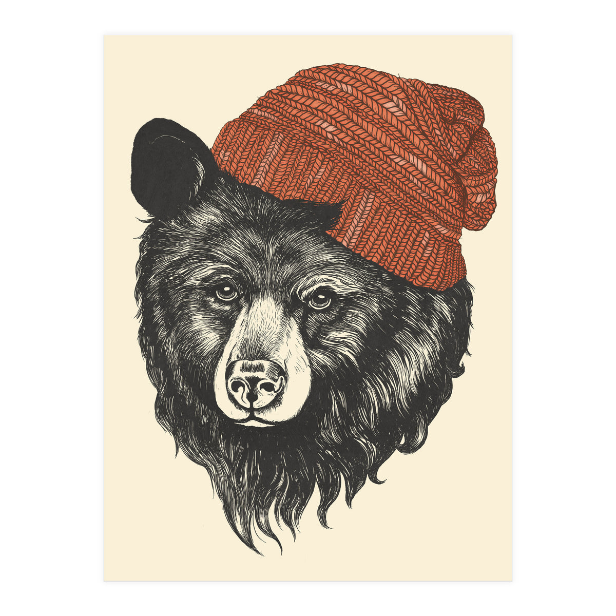 Zissou The Bear (Print Only)