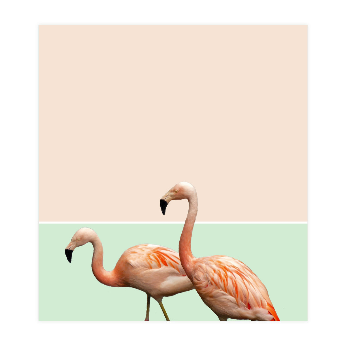 Flamingo Pastel Art (Print Only)