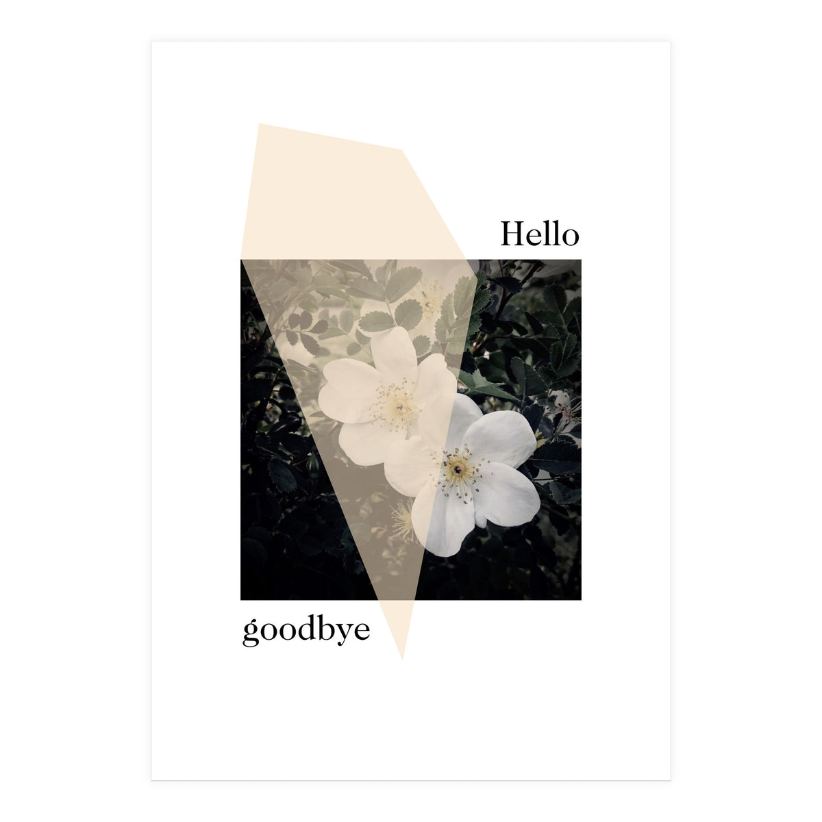 Hello goodbye  (Print Only)
