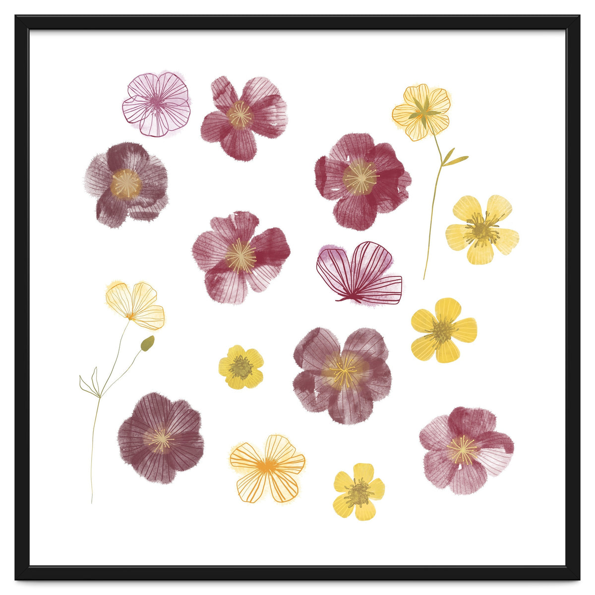 Pressed Flowers