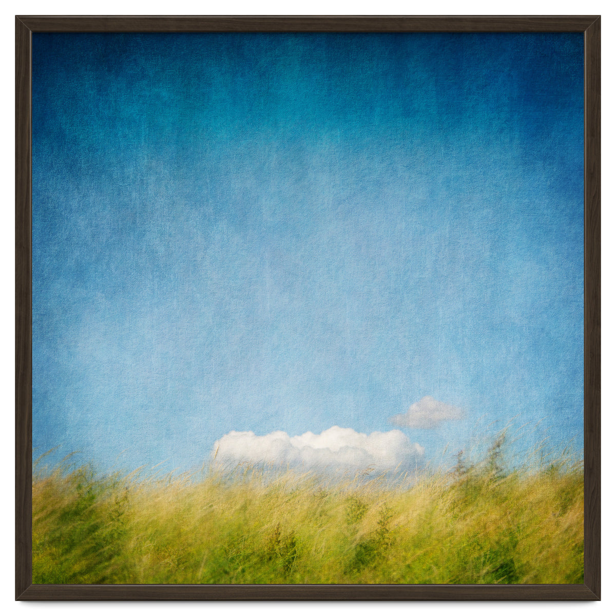 The Cloud That Fell From The Sky