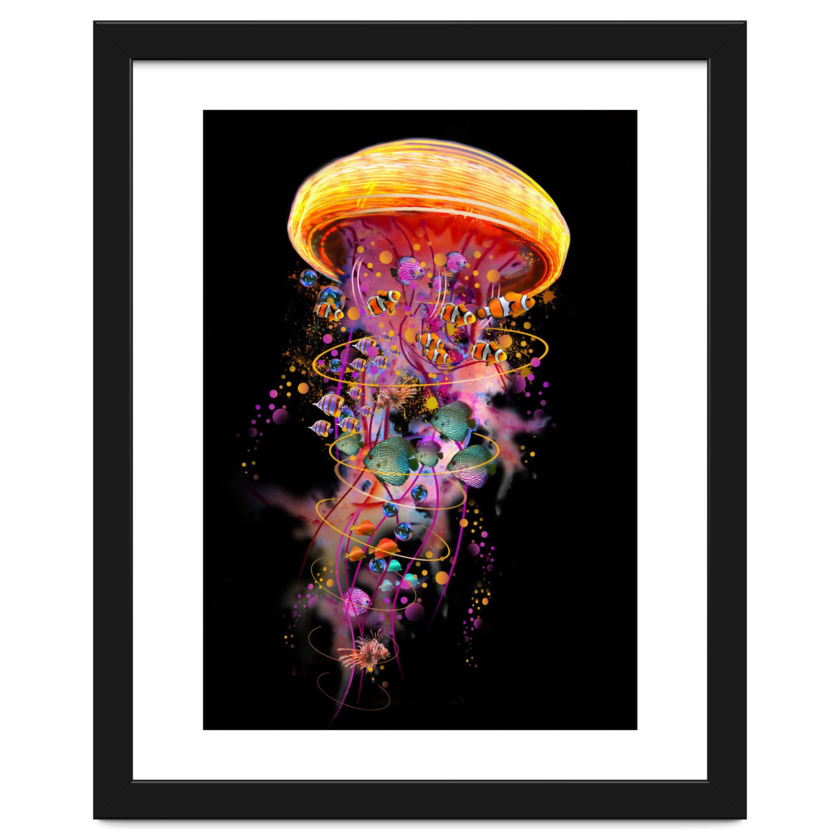 Jelly Fish Ride Summer2018 Dbh