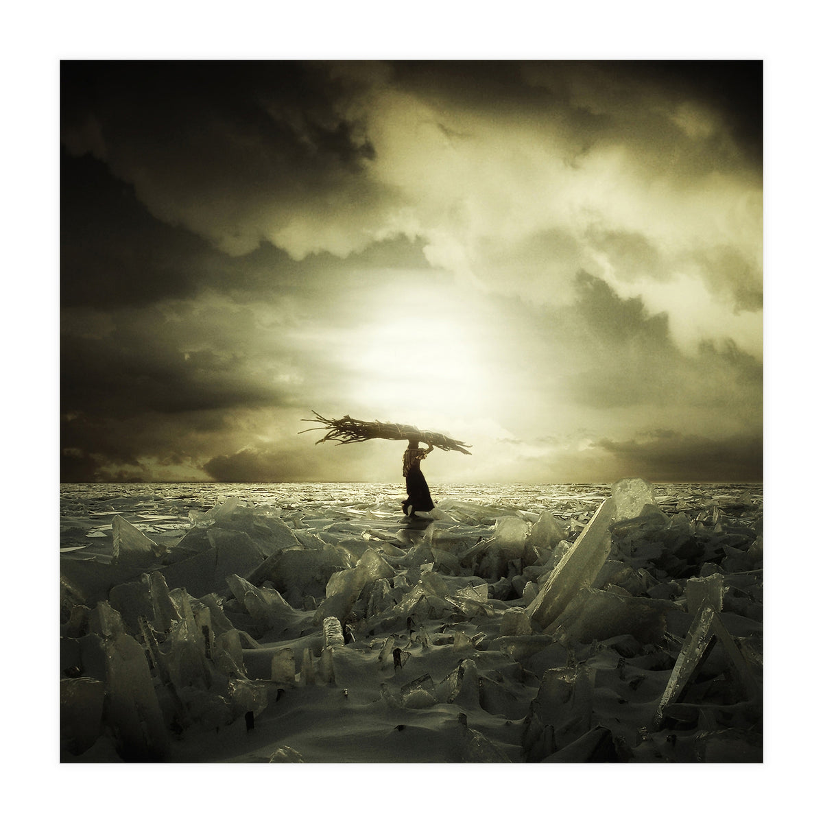 Frozen Nation (Print Only)