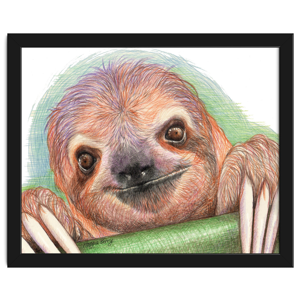 Smiling Sloth