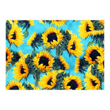 Sunflowers & Sky (Print Only) thumbnail