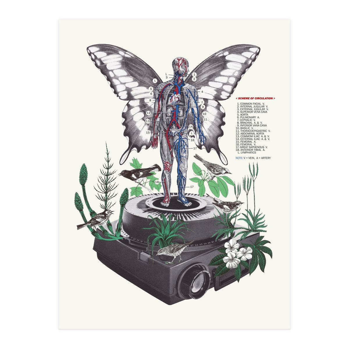 Hologram (Print Only)