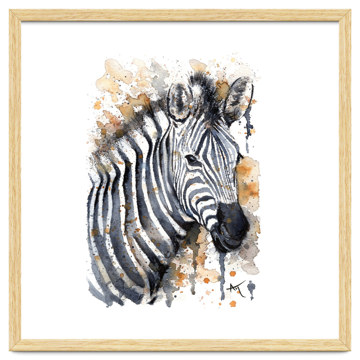 Zebra - Wildlife Collection