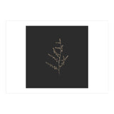 Dainty Botanicals in Gold and Black - Square (Print Only) thumbnail