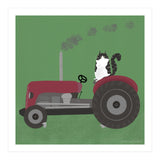 Cat 84: The farm cat (Print Only) thumbnail