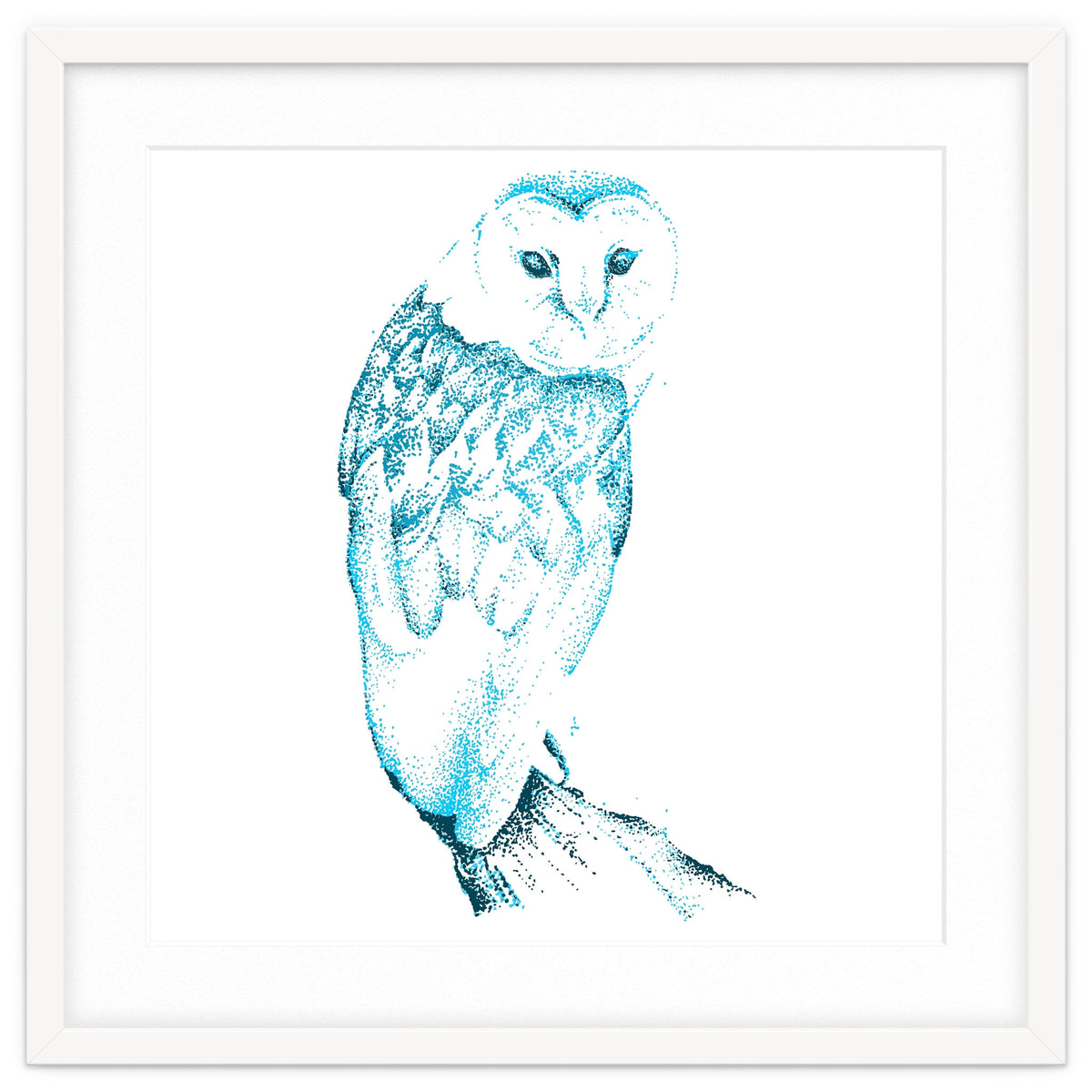 Barn Owl in Teal