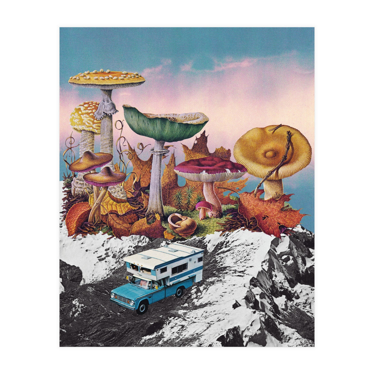 Good Trip (Print Only)