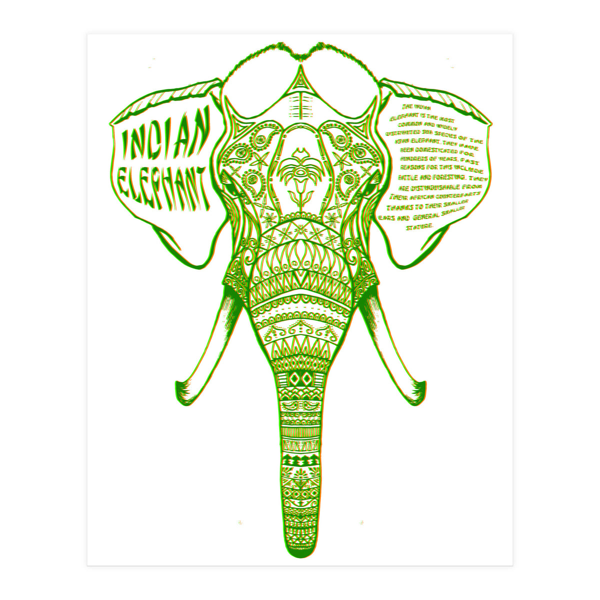 Indian Elephant (Print Only)