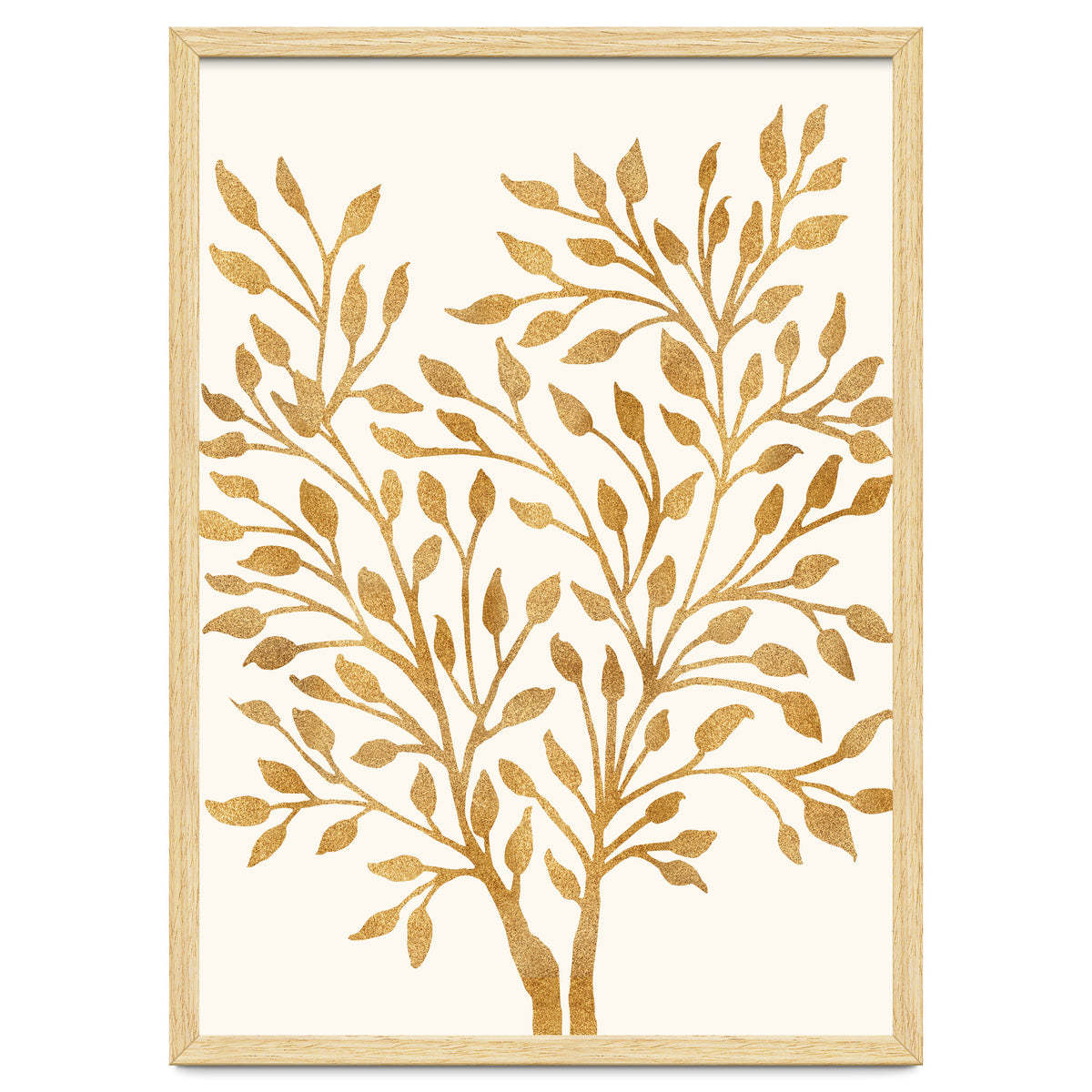 Golden Ficus 4x5