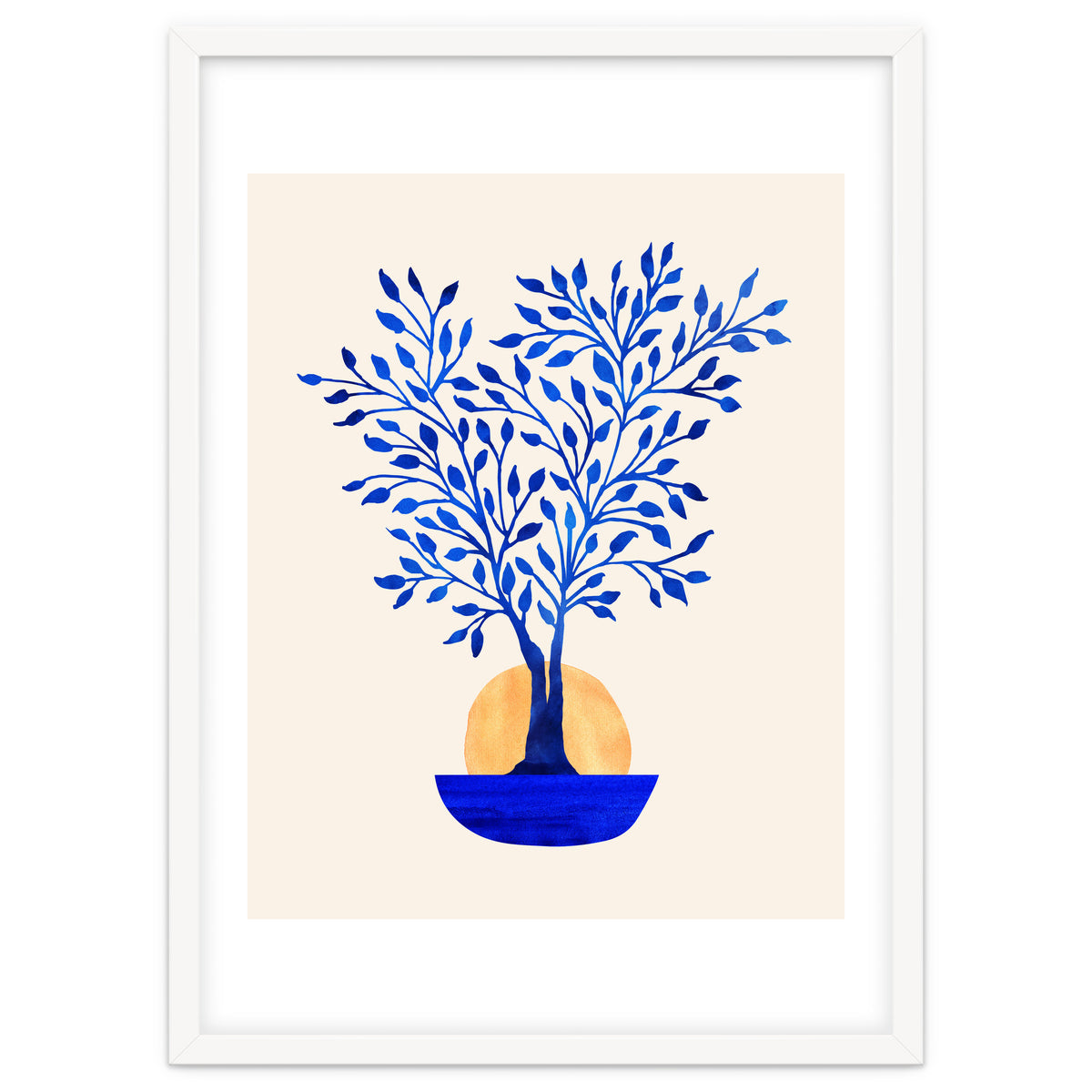 Indigo Ficus Sunrise