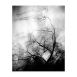 love wish (Print Only) thumbnail