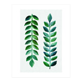 Hawaiian Vines (Print Only) thumbnail