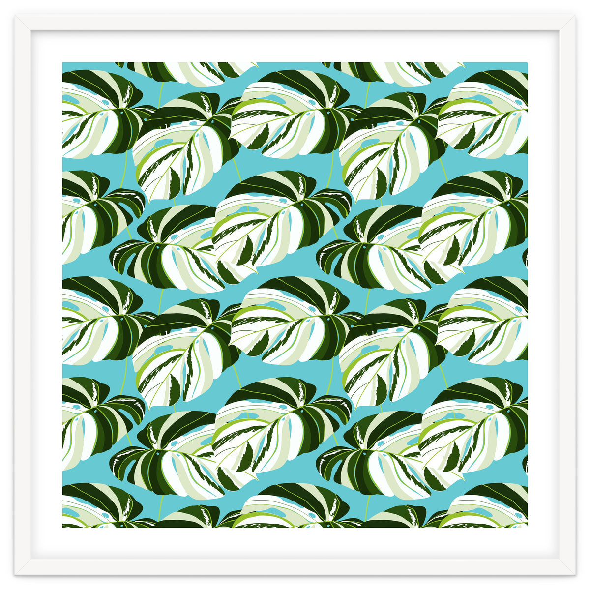 Summer Variegated Monstera | Rainforest Jungle botanical Plants Illustration | Boho Tropical Nature