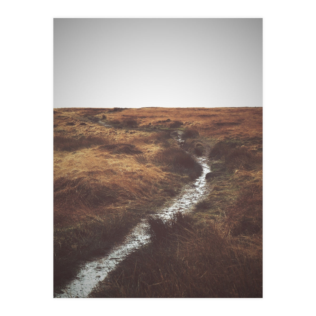 Bleak winter landscape of Saddleworth Moor  (Print Only)