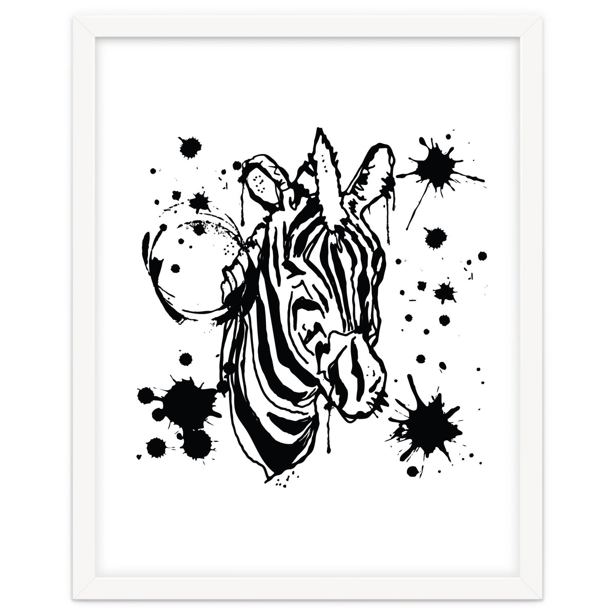 Zebra sketch