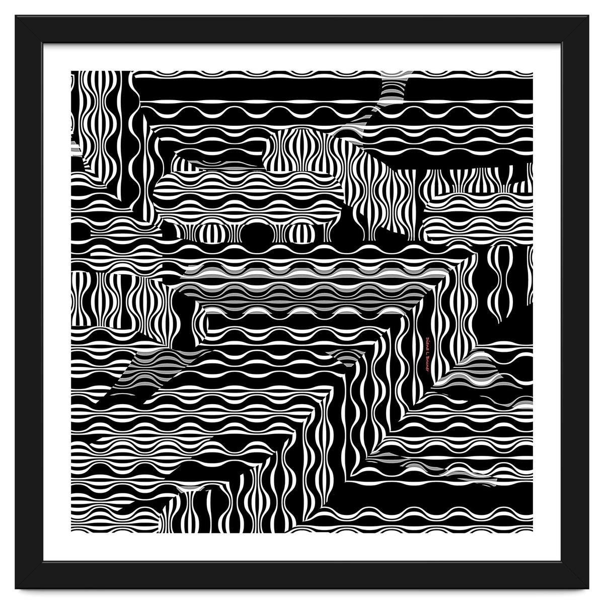 BLACK AND WHITE EXOTIC