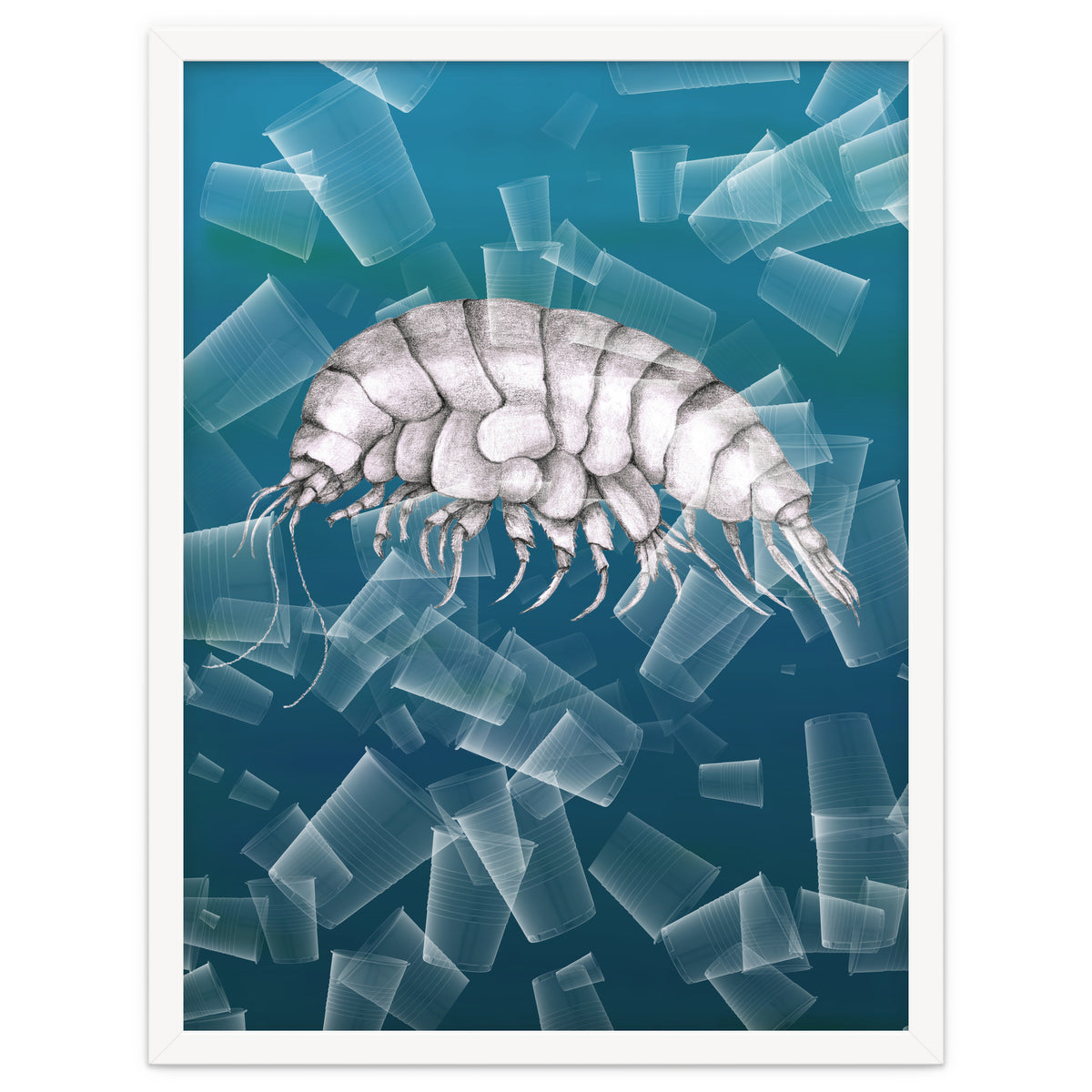 Eurythenes Plasticus