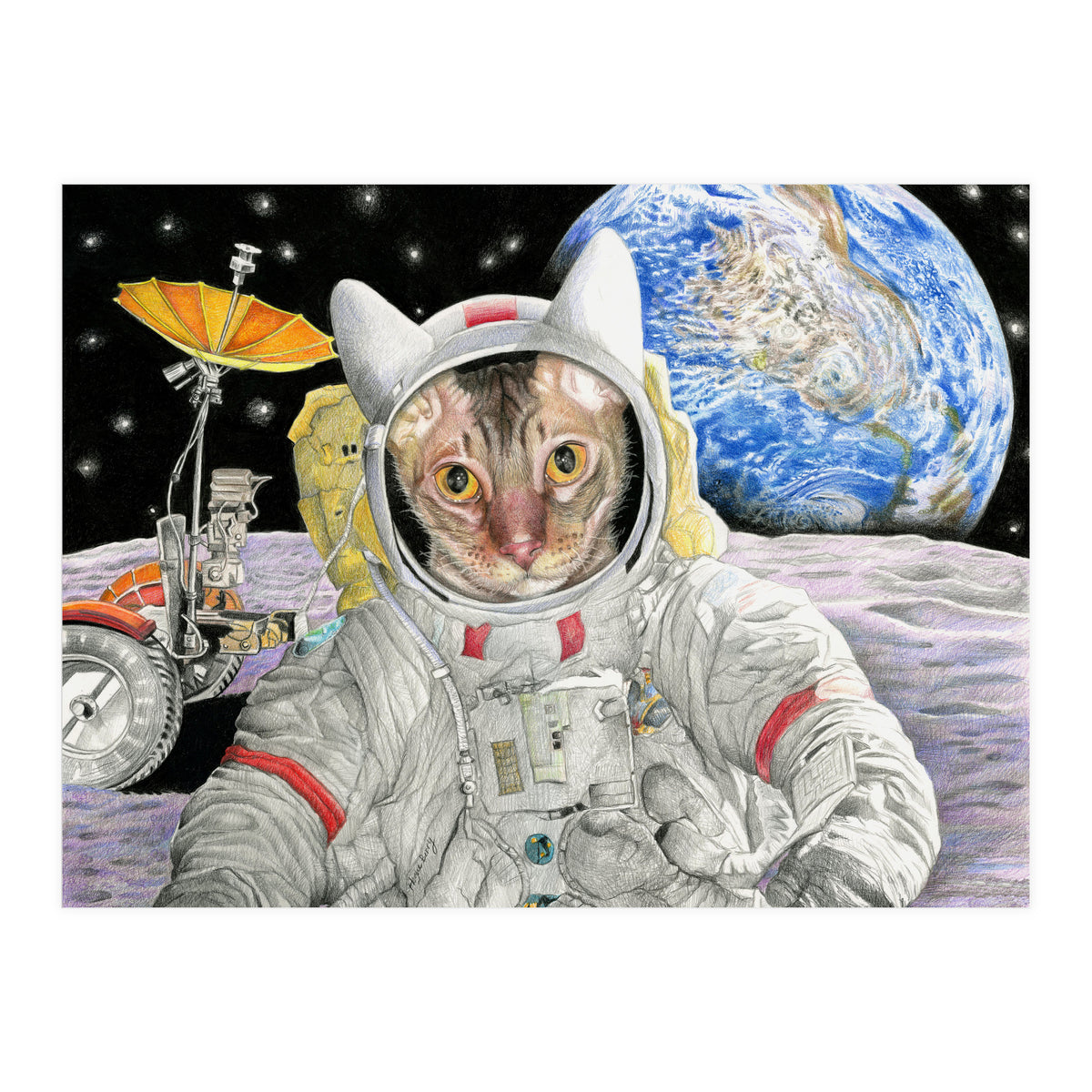 Nasacatadjustcolor (Print Only)