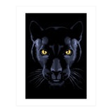 Panther (Print Only) thumbnail