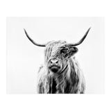 Portrait of a Highland Cow II (Print Only) thumbnail