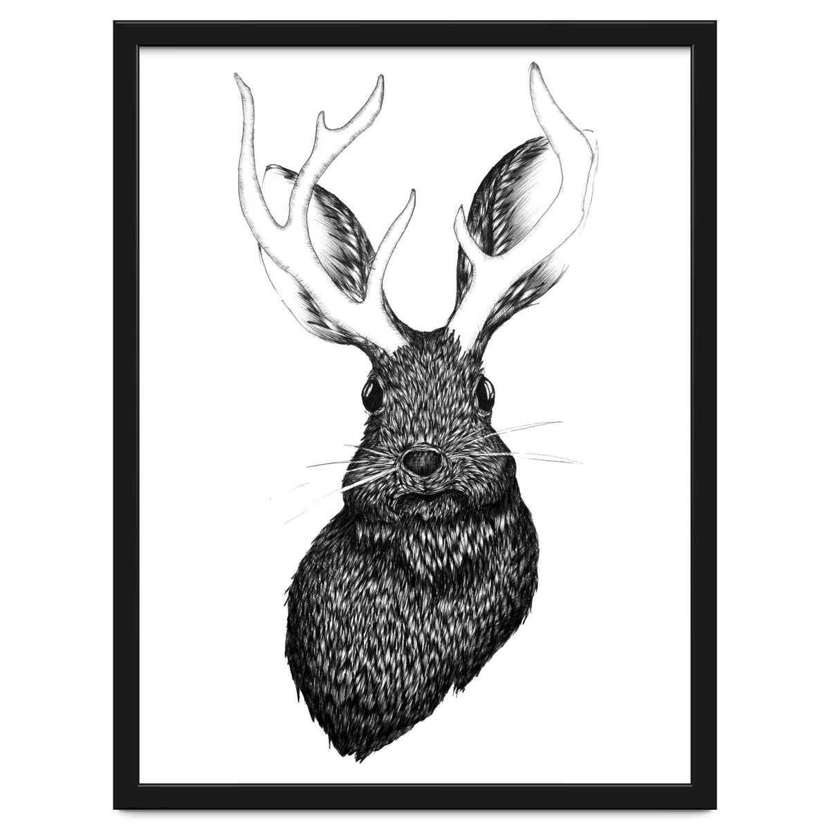 Jackalope