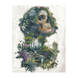 Between Life and Death (Print Only) thumbnail