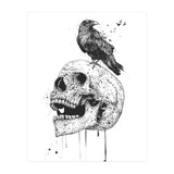 New Skull (bw) (Print Only) thumbnail