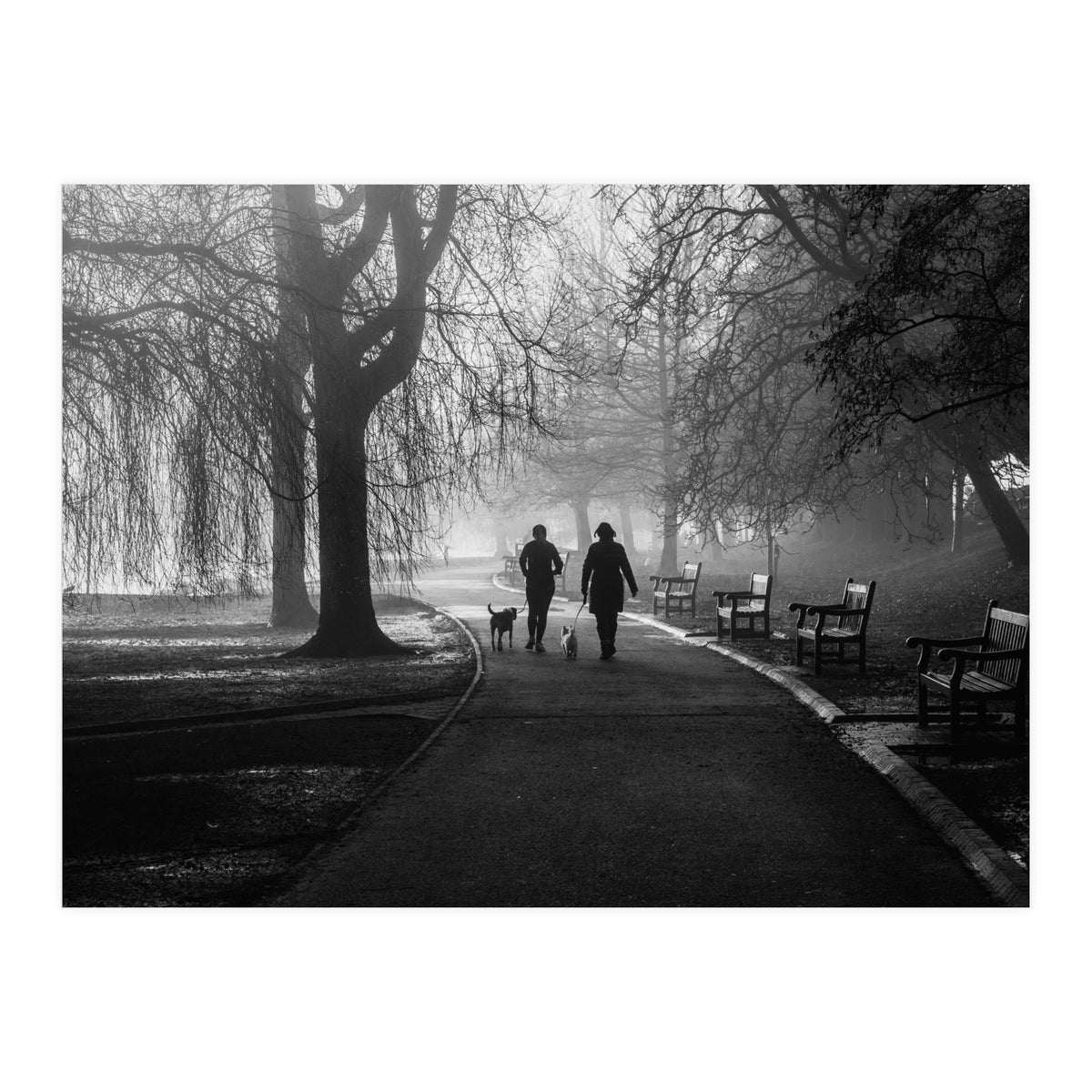 Misty Morning (Print Only)