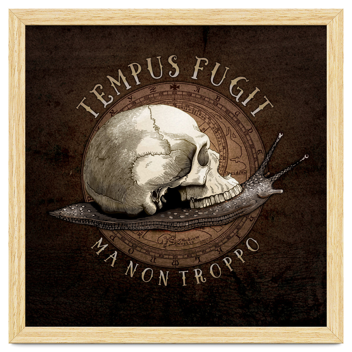 Tempus Fugit (ma non troppo)