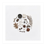 Treasures From Nature No. 2 - Square (Print Only) thumbnail