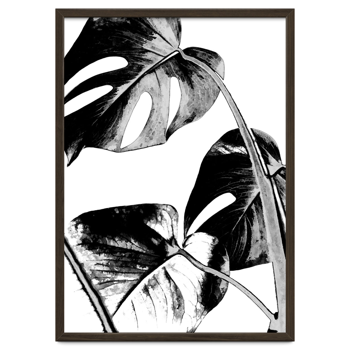 Black Tropical Leaves