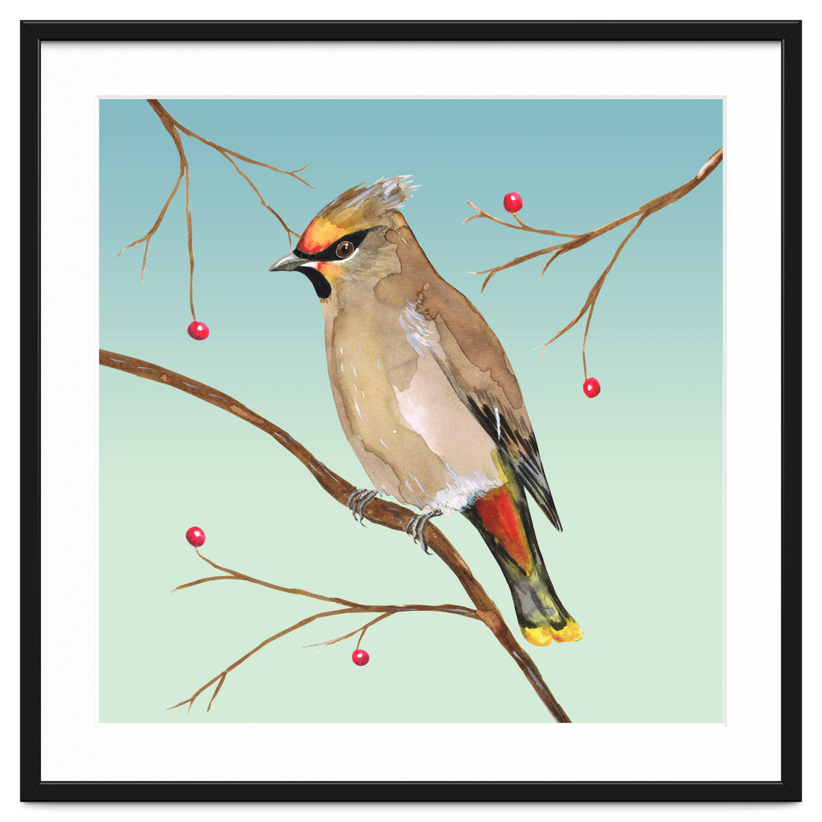Bohemian waxwing