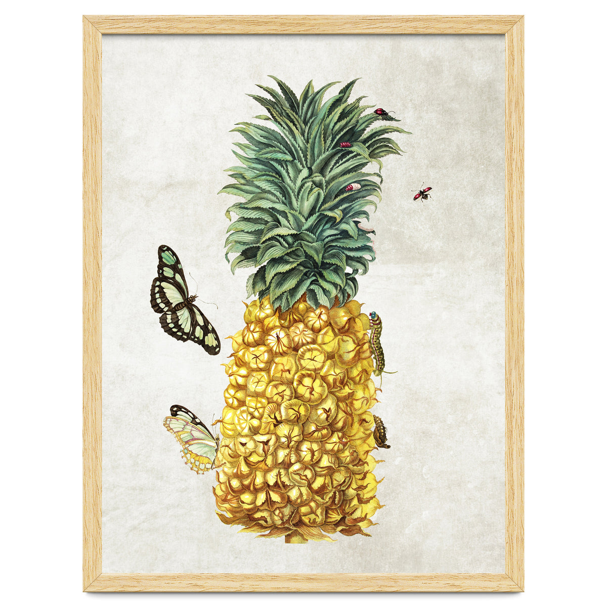 ananas