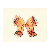 Light (Print Only) thumbnail