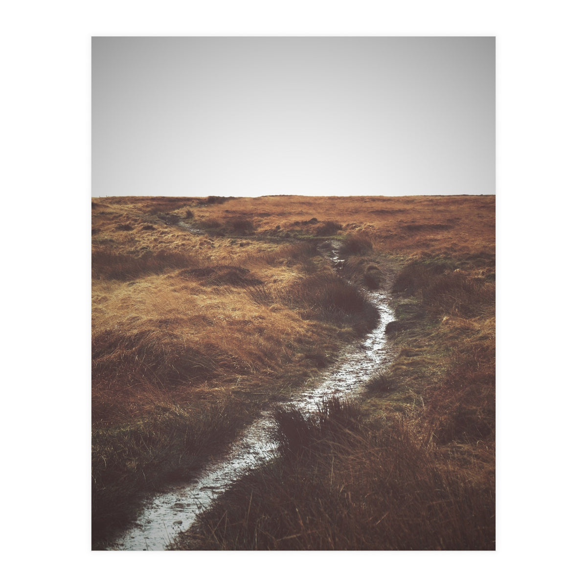 Bleak winter landscape of Saddleworth Moor  (Print Only)