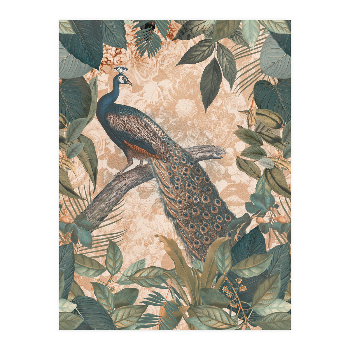 Vintage Peacock (Print Only)