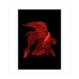 Betta (Print Only) thumbnail